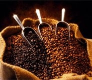 Reform-bio kávé