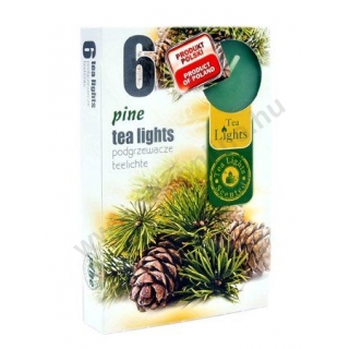Teamécses illatos 6db-os Pine